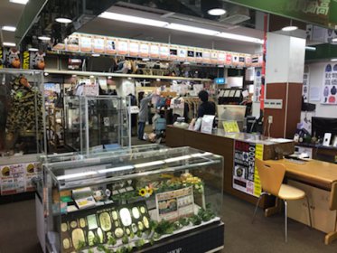 リサイクルショップ リバース三原店 売り場リニューアル致しました♪ 是非、お越しくださいませ☆ 三原市 港町 1-8-33