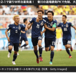 にわかサッカーファン（笑）